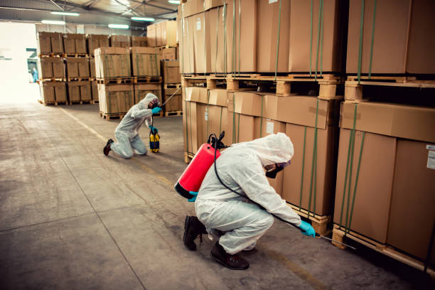 Best Flea Control Services  in Jewett City, CT