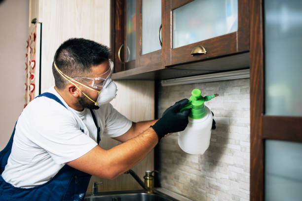 Best Emergency Pest Control  in Jewett City, CT