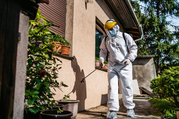 Best Mosquito Control Services  in Jewett City, CT