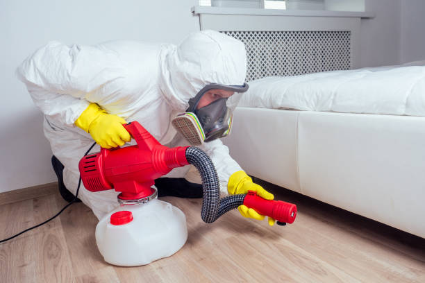 Best Cockroach Control Services  in Jewett City, CT