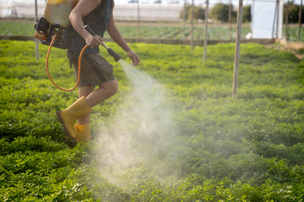 Professional Pest Control in Jewett City, CT