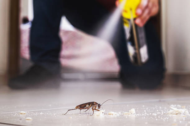 Pest Control Cost in Jewett City, CT